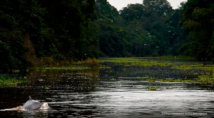 Visita la Reserva Nacional de Salinas y Aguada Blanca a bordo de tu camión o bus Hino