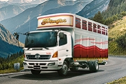  Camión Hino de la serie 500 color blanco, en el furgón tiene pintada una frase que dice picaflor 